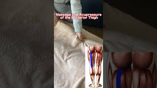 Massage and Acupressure of the Posterior Thigh massage [upl. by Roberta817]