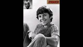 Christopher Knight  67 The Brady bunch  True love guardian Angel American Pie Presents shorts [upl. by Lebatsirhc21]