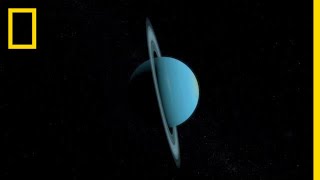 Uranus 101  National Geographic [upl. by Thorrlow]