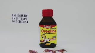 Creolina Concentrada [upl. by Seadon]