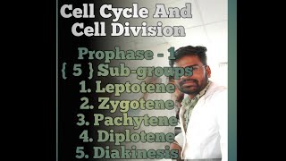 Meiosis 1  Prophase1  Leptotene  Zygotene  Pachytene  Diplotene  Diakinesis [upl. by Virge11]