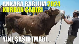 Ankara Bağlum 2024 Yılı Kurban Çadırı Fiyatları [upl. by Soelch]