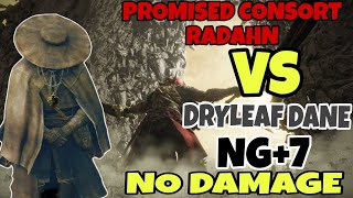 ELDEN RING  PROMISED CONSORT RADAHN VS DRYLEAF DANENG7NO DAMAGEMARTIAL ARTS ONLY [upl. by Ilana257]