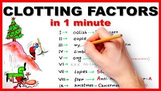 Clotting factors in 1 minute  Mnemonic series 6 [upl. by Harland481]