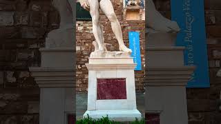 Michelangelos David  Is it worth seeing the original replica david italy florence [upl. by Randie]