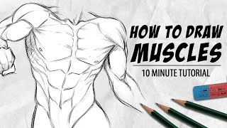 HOW TO DRAW MUSCLES IN 10 MINUTES  SixPack Arms and Chest  DrawlikeaSir [upl. by Salman865]