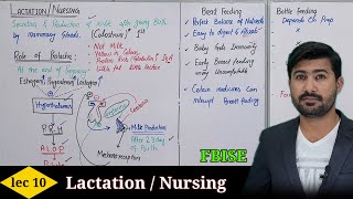 Lactation or Nursing FBISE CLASS 12 biology  Irtisams Biology [upl. by Moshe]