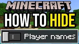 How To Turn Off Player Names In Minecraft  Hide Name Tags [upl. by Adnalor]