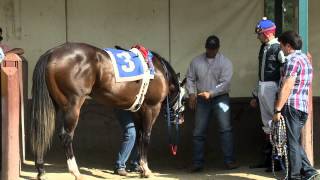 TVG Goes Inside Quarter Horses Most Iconic Race  All American [upl. by Eenal697]