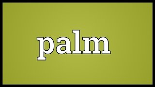 Palm Meaning [upl. by Pirozzo]