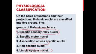 sensory association area functions of thalamus thalamic syndromesensory cortex [upl. by Tansey]