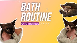 Sphynx Cat Bath Time Routine [upl. by Rhodes609]