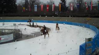 icehorse2010  T1VE  wwwisiblessde [upl. by Hughmanick]