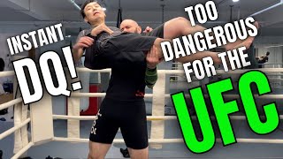 The most illegal MMA techniques that nobody talks about Funny… but real UFC rules [upl. by Zelde267]