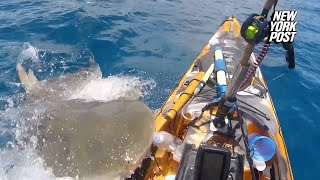 Huge tiger shark bites fisherman’s kayak off coast of Hawaii in wild video  New York Post [upl. by Aeirdna]