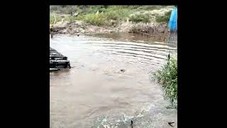 luar biasa❗rakyat ikan ter usik [upl. by Polk]