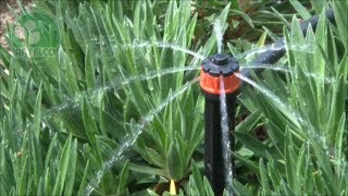 PC DripperShrubbler Guide  Drip Irrigation [upl. by Eanaj]