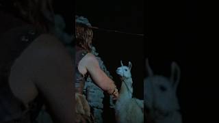 Arnold Schwarzenegger Punches a Camel  Conan the Barbarian 1982 [upl. by Ala118]