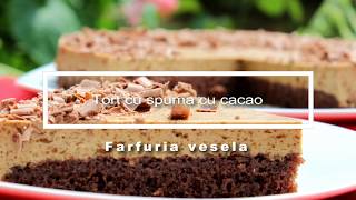 Tort cu spuma cu cacao  Farfuria vesela [upl. by Naeruat]