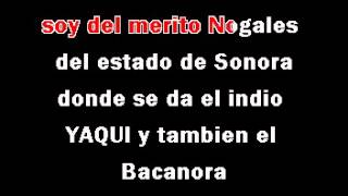 KARAOKE EL DIABLO DE SINALOA EXTERMINADOR [upl. by Leber]