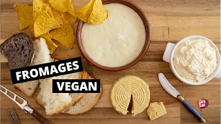 FROMAGES VEGAN 🥜🧀3 fromages végétaliens délicieux La petite bette [upl. by Hubbard]