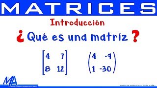 Matrices Introducción  Conceptos básicos [upl. by Duj]