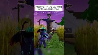 今海外でバズってるこの噂は本当なのか検証してみた フォートナイト fortnite 小ネタ 小技 [upl. by Marzi]