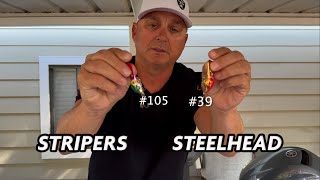 Wigglers For Steelhead amp Stripers Now [upl. by Maxfield]