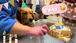 Max ka Birthday Vlog 🎉😍🥳  THEHIMALAYANHUSKY [upl. by Naivatco]