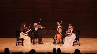 Borodin Notturno  String Quartet no2 3mov Nocturne ボロディン 夜想曲  弦楽四重奏曲 第2番ニ長調 第3楽章ノクターン [upl. by Parik]