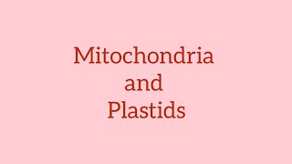 Mitochondria and Plastids neetbiology [upl. by Suter]