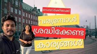 Moving to Denmark 🇩🇰 Essential Tips from Our Journey  Denmark Malayalam  JSnaps  Jesti amp Silpa [upl. by Eirod]