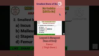 RRB Pharmacist exam preparation notes 2024 Anatomy smallest bone Stapes [upl. by Yelkao]