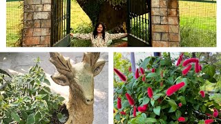 terrace garden mein kya kuch laga hua mere winter garden preparation start🤩🤩👌☝️☝️🧅🌺🍅🦜☕ [upl. by Eelirem]