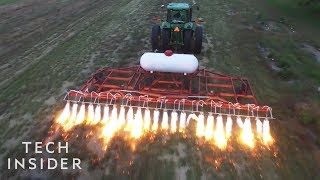 How These FlameThrowing Tractors Kill Weeds [upl. by Eugene]