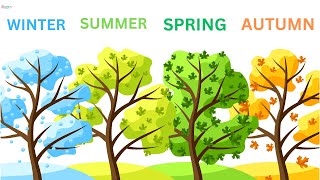 The Seasons song  Names of Seasons  Lets Learn about Seasons  Learn Seasons for Kids [upl. by Muirhead]