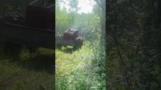 Skidder pulling logstimberjack detroitdiesel skidder logging [upl. by Ardnuasal576]