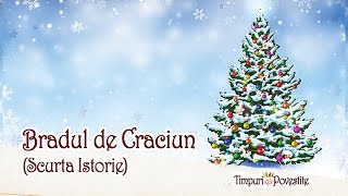 🎄Bradul de Crăciun🎄Scurtă Istorie🎄BunDeȘtiut [upl. by Ulises]