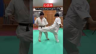 【武道・格闘技】昔から言われる心技体とは 解説！！ aikido ＃karate martial 武道 ＃空手＃合気道＃筋トレselfdefens [upl. by Nel257]