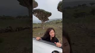 Socotra Island Yemen socotra travel tourism yemen trip love nature جزيرة سقطرى اليمن سقطرى [upl. by Ryley884]