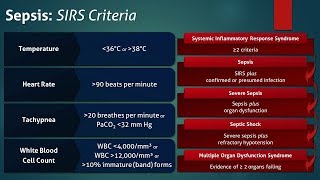 Sepsis Systemic Inflammatory Response Syndrome SIRS Criteria [upl. by Ardnwahs885]