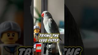 Lego bird filter lego legos cute kidstv cool toys legocity ai aifilter filter capcut fyp [upl. by Erlin]