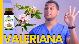 VALERIANA PARA QUE SIRVE  3 COSAS [upl. by Leffert]