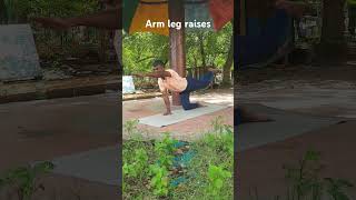 Belly fit abdomen exercises arm leg raises [upl. by Chapin]