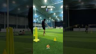 Perfect Timing Shot 😍😎  Cut Shot✅  turf turfcricket cricket [upl. by Bathilda]