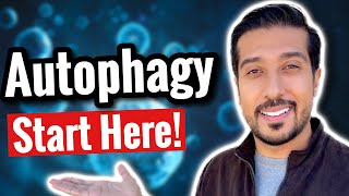 Autophagy 101  How to Make Autophagy WORK For You Complete Guide [upl. by Tara]