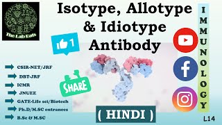 Isotype Allotype amp Idiotype Antibody  HINDI  CSIR  UGC  DBT  GATE  ICMR  JNUEE  MScBSc [upl. by Dreda]