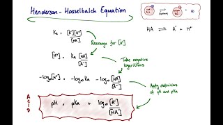 The HendersonHasselbalch Equation and pKa [upl. by Erasme]