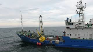 Buoy Deployment Offshore [upl. by Birch]