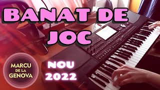 Instrumentala banat de joc miscat sarbeasca la orga 2022 nou muzica de petrecere banateana [upl. by Huston]